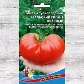 Томат Уральский гигант красный