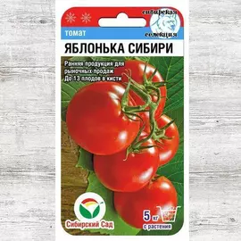 Томат Яблонька Сибири