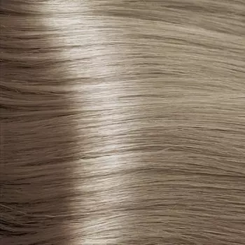 Стойкая крем-краска Color Cream (>teo1101, 10.01, экстра светлый натуральный пепельный блондин, 100 мл)