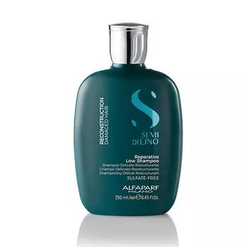 ALFAPARF MILANO Шампунь для поврежденных волос SDL 250.0