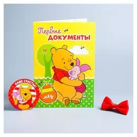 Обложка для документов «Для нашего чуда» + наклейки, бабочка