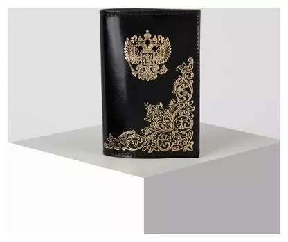 Обложка для паспорта, 9,5*0,3*13,5 "Народная", черный