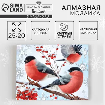 Алмазная мозаика на новый год с частичным заполнением