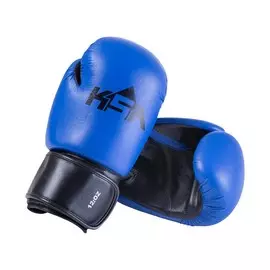 Перчатки боксерские KSA Spider к\з, 14 oz, Blue