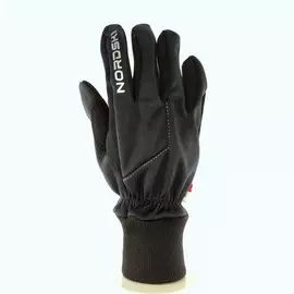 Перчатки лыжные Nordski Motion WS NSV250100 черный