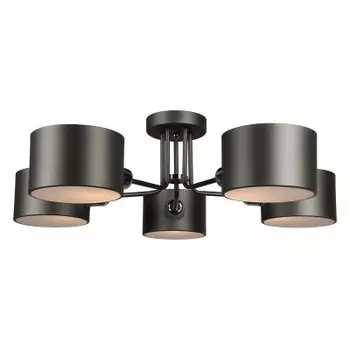 Люстра потолочная Omnilux OML-54507-05 Liser?