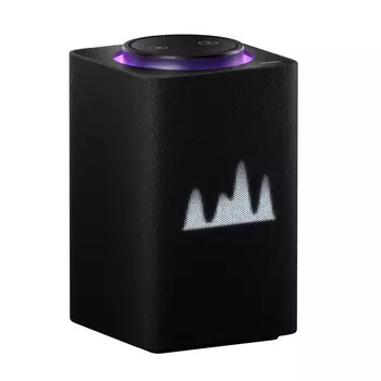 Умная колонка Яндекс.Станция Макс с Zigbee YNDX-00052, чёрная + +пульт YNDX-00401