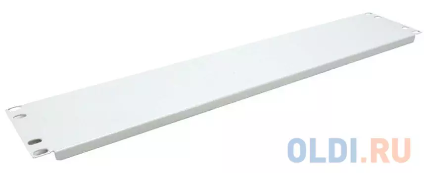 Фальшпанель - заглушка 19" 2U серая, NT FPANEL 2U G
