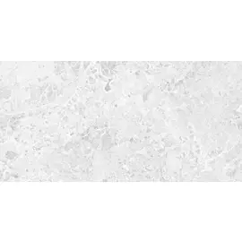 Brecia Adonis Grey Керамогранит светло-серый 60x120 глянцевый