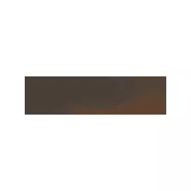 Cloud Brown Ele Плитка фасадная гладкая 24,5х6,58х0,74