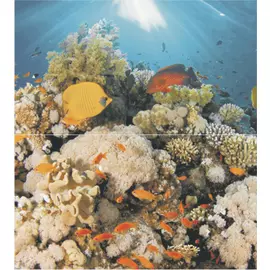 Dec Corals Panno (панно из 2-х шт) 50х45
