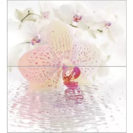 Dec Orchid Panno (панно из 2-х шт) КПН16Orchid 50х45