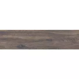 BG 06 15x60 неполир