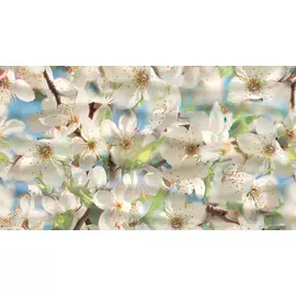 Dec Spring Panno B КПН16SpringB 25х45