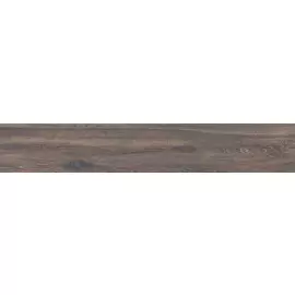 BG 06 19,4x120 неполир
