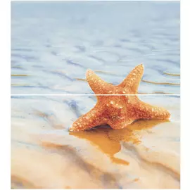 Dec Starfish 1 Panno (панно из 2-х шт) КПН16Starfish1 50х45