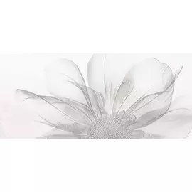 Decor Nagore Декор 27x60