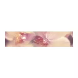 Blossom Бордюр B200D183 4,5х20