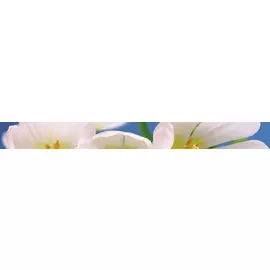 Blue garden Бордюр 6х60