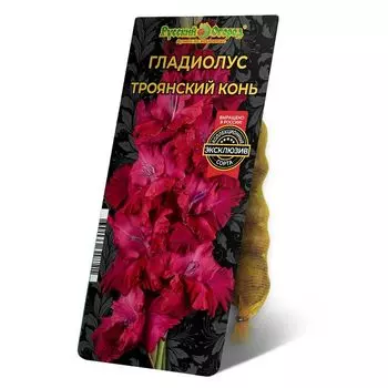 луковица Гладиолус Троянский Конь 8/12 5шт