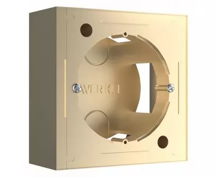 Короб накладной для розетки Werkel шампань W8000011