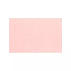 Маркер двухсторонний на спиртовой основе Sketchmarker Цвет Поросячий розовый