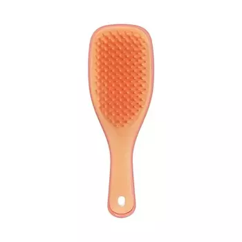 TANGLE TEEZER Расческа для волос Ultimate Detangler Mini