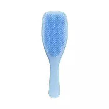 TANGLE TEEZER Расческа для волос Wet Detangler
