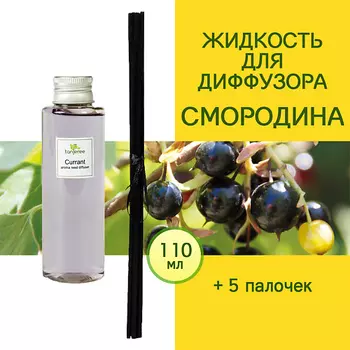 TANJEREE Наполнитель для диффузора рефил аромамасло для дома жидкость для аромадиффузора Смородина 110.0