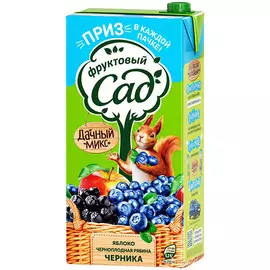 Нектар Фруктовый сад 0,95л Ябл-черноп.ряб-черника (св/у) Верный