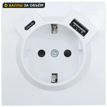 Розетка TC и USB встраиваемая Lezard Zima с заземлением цвет белый