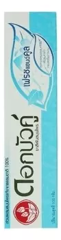 Зубная паста растительная с травами Herbal Fresh &amp; Cool Toothpaste 100г: Зубная паста 100г