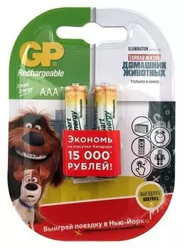 Аккумулятор Gp