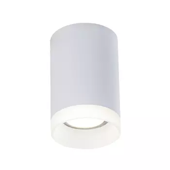 Светильник Maytoni Technical Pauline GU10 50 Вт 4 кв.м белый IP20 (C008CW-01W)