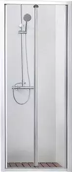 Душевая дверь Bravat Line 100 см (BD100.4121A)