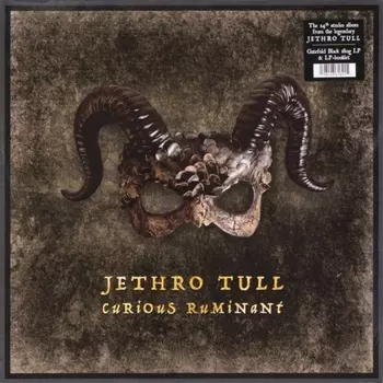 Jethro Tull - Curious Ruminant (0198028618915) виниловая пластинка