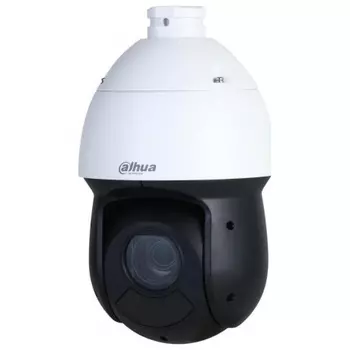 Камера видеонаблюдения Dahua DH-SD49216DB-HNY