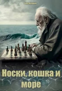 Носки, кошка и море