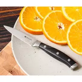 Нож кухонный Daniks, Black, для овощей, нержавеющая сталь, 9 см, рукоятка пластик, 161520-5