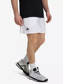 Шорты мужские adidas Club, Белый