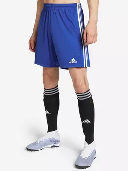Шорты мужские adidas Squadra 21, Синий
