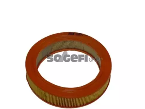 Воздушный фильтр FRAM, кольцевой для Fiat (CA660PL)