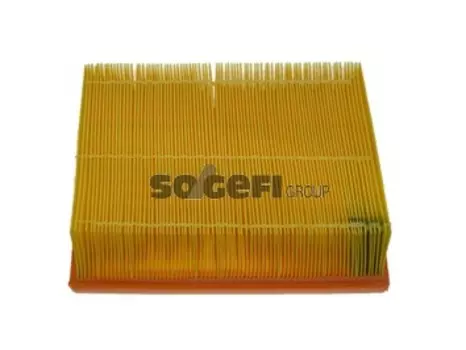 Воздушный фильтр FRAM, панельный для Audi (CA8887)