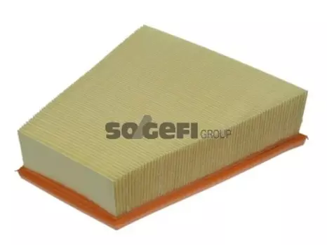 Воздушный фильтр FRAM, панельный для Seat (CA9431)