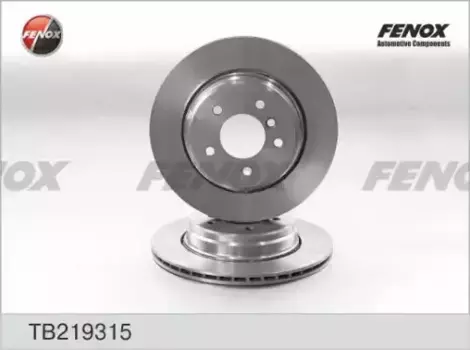 Тормозной диск FENOX TB219315 вентилируемый задняя ось