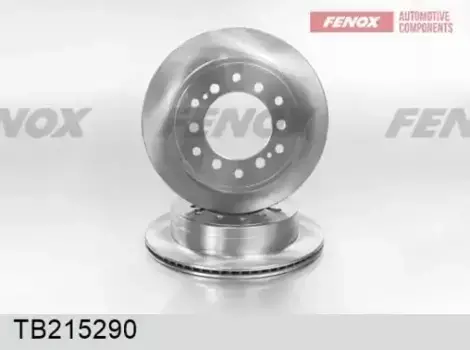 Тормозной диск FENOX TB215290 полный задняя ось