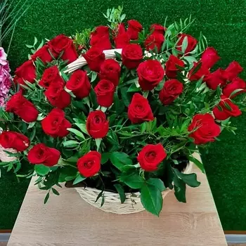 РОЗЫ УРАЛА Корзина из 51 бордовой розы с зеленью