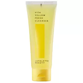 LAPALETTE Пенка увлажняющая для умывания с эффектом детокса Vita Yellow Fresh Cleanser 100.0
