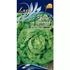 Салат Буржуй (Селекция "ВХ")1 гр цв.п