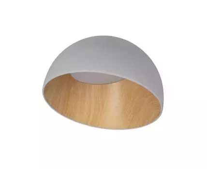 Потолочный светильник LOFT IT Egg